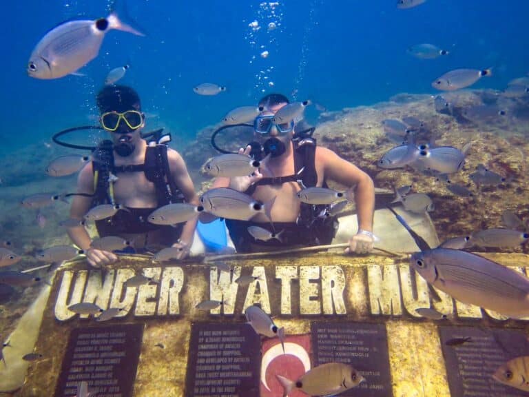 Side Diving: 5 Best Scuba Diving Tours 2025