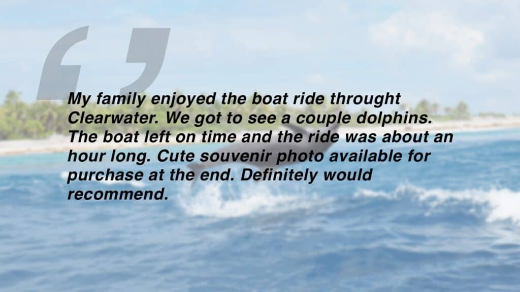 Review which says "My family enjoyed the boat ride throught Clearwater. We got to see a couple dolphins. The boat left on time and the ride was about an hour long. Cute souvenir photo available for purchase at the end. Definitely would recommend."