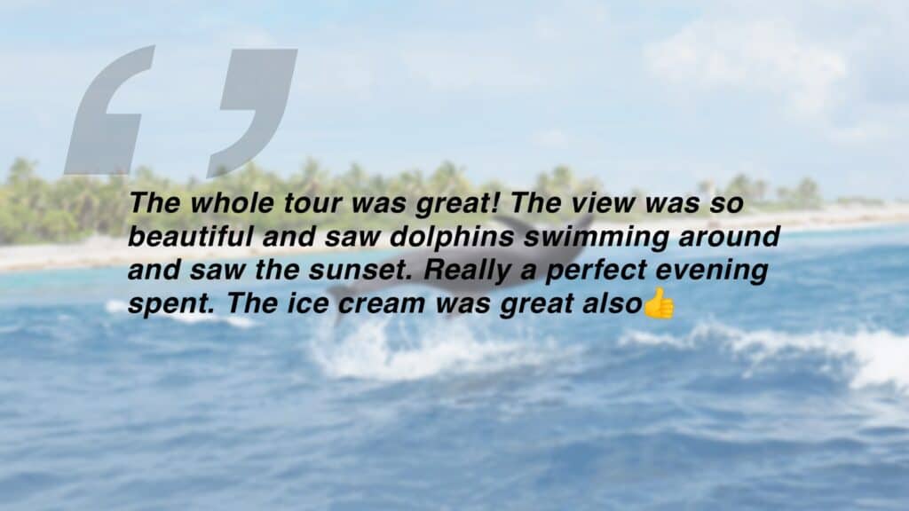 Review which says "The whole tour was great! The view was so beautiful and saw dolphins swimming around and saw the sunset. Really a perfect evening spent. The ice cream was great also👍"