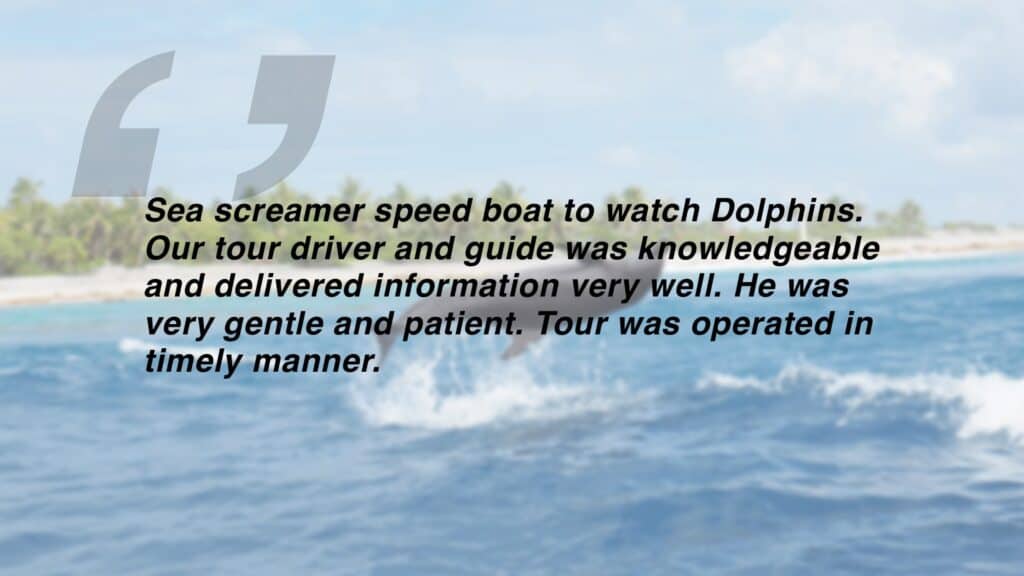 Review which says "Sea screamer speed boat to watch Dolphins. Our tour driver and guide was knowledgeable and delivered information very well. He was very gentle and patient. Tour was operated in timely manner."