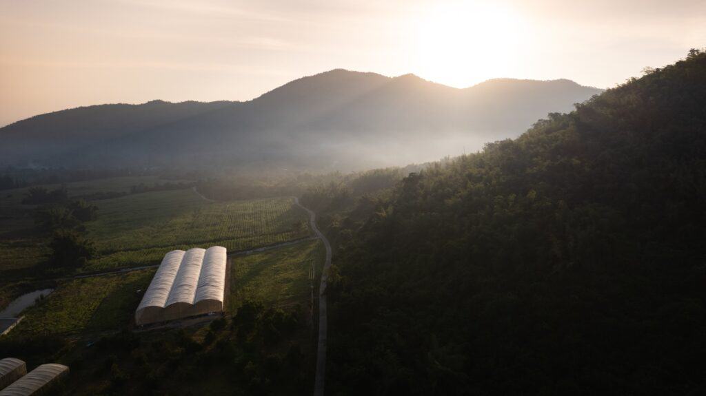 A picture of the sun rising over the mountains of Northern Thailand.