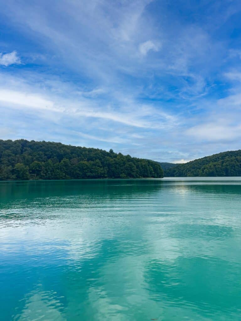 A picture of the turqoise water with some forestry in the background.