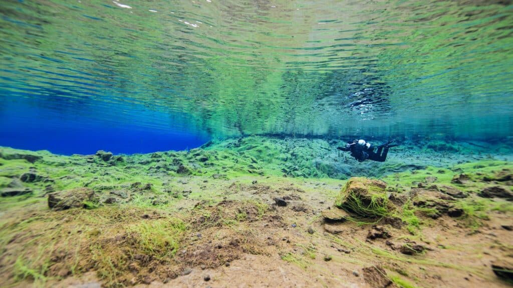 An underwater shot of snorkelling. in Silfra. Unfortunately it's listed as not suitable for people with visual impairment.