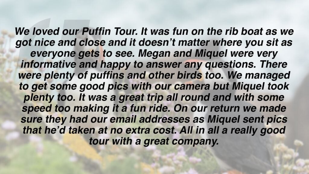 Review which says "We loved the puffin tour with Whale Safari. Nice friendly staff on arrival, who helped with our suits and safety equipment. It was fun on the rib boat as we got nice and close and it doesn’t matter where you sit as everyone gets to see. Megan and Miquel were very informative and happy to answer any questions. There were plenty of puffins and other birds too. We managed to get some good pics with our camera but Miquel took plenty too. It was a great trip all round and fun with some speed too making it a fun ride. On our return we made sure they had our email addresses as Miquel sent pics that he’d taken at no extra cost. All in all a really good tour with a great company."