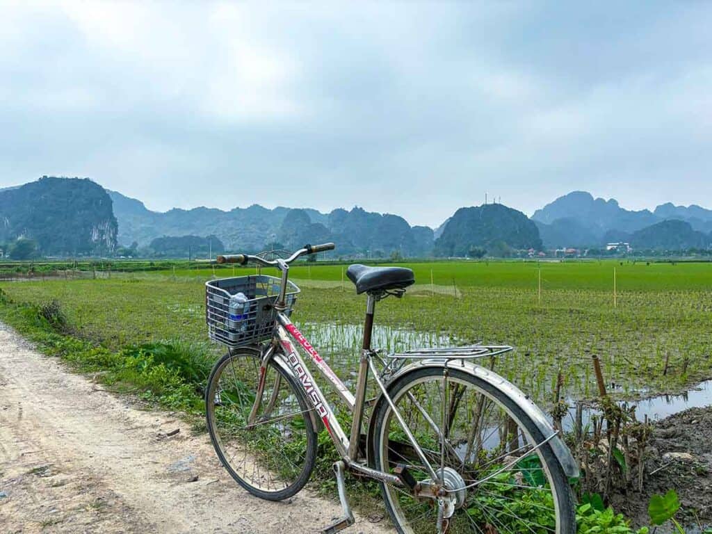 A red vintage bicycle with a front basket parked on a dirt path next to a young, green rice field in Tam Coc, with limestone karsts in the background.